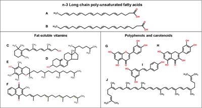 Frontiers Allergy Modulation by N 3 Long Chain Polyunsaturated